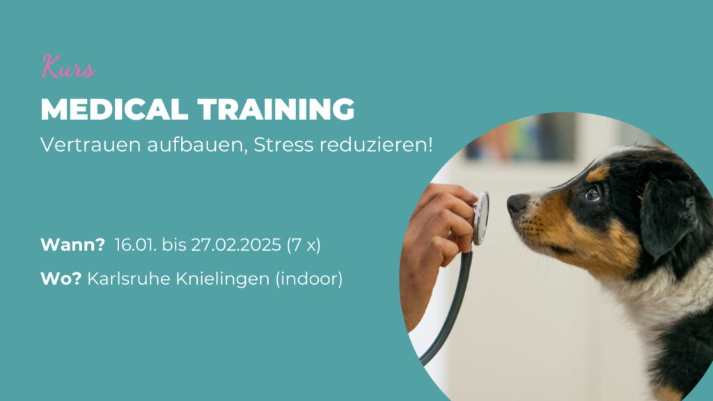 Bild mit Hund beim Medical Training